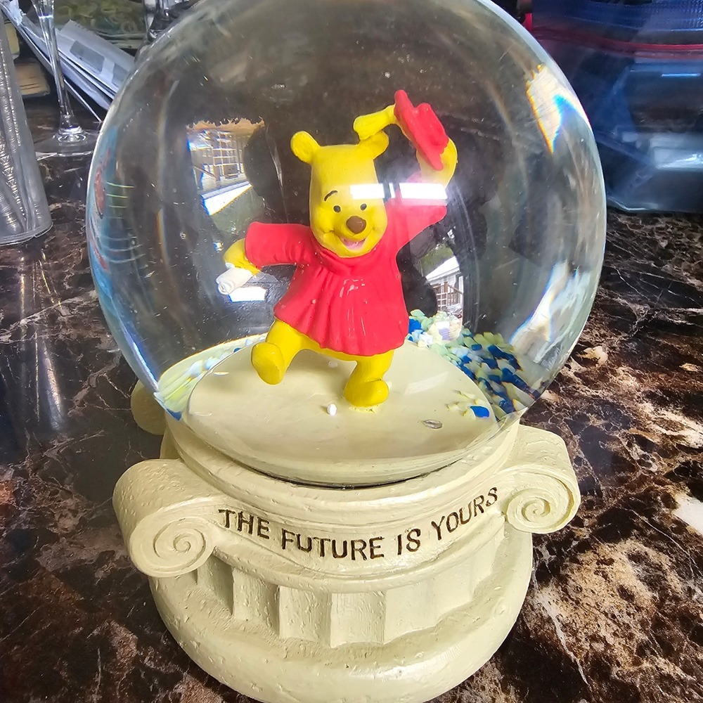 Disney Winnie the Pooh Graduation Musical Snow Globe The Future Is Yours 28918KG
